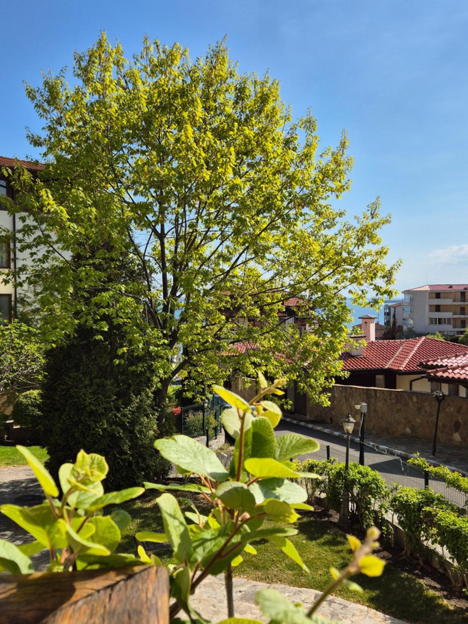 Апартамент Ния, Райска Градина / Garden Of Eden Sveti Vlas Exterior photo